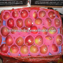 Kashmir Apple Qinguan